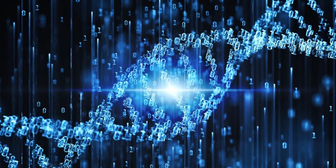 深度整合数据的美式足球即时比分系统提供多维度赛事分析参考