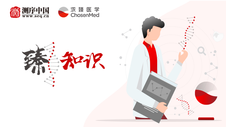 如何根据网站规模选择合适的云服务器带宽